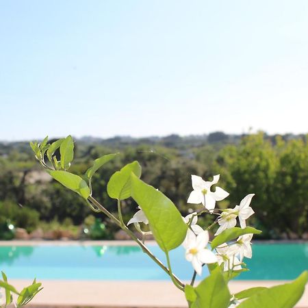 منزل الضيف أوستوني  في Trullo Il Melograno المظهر الخارجي الصورة