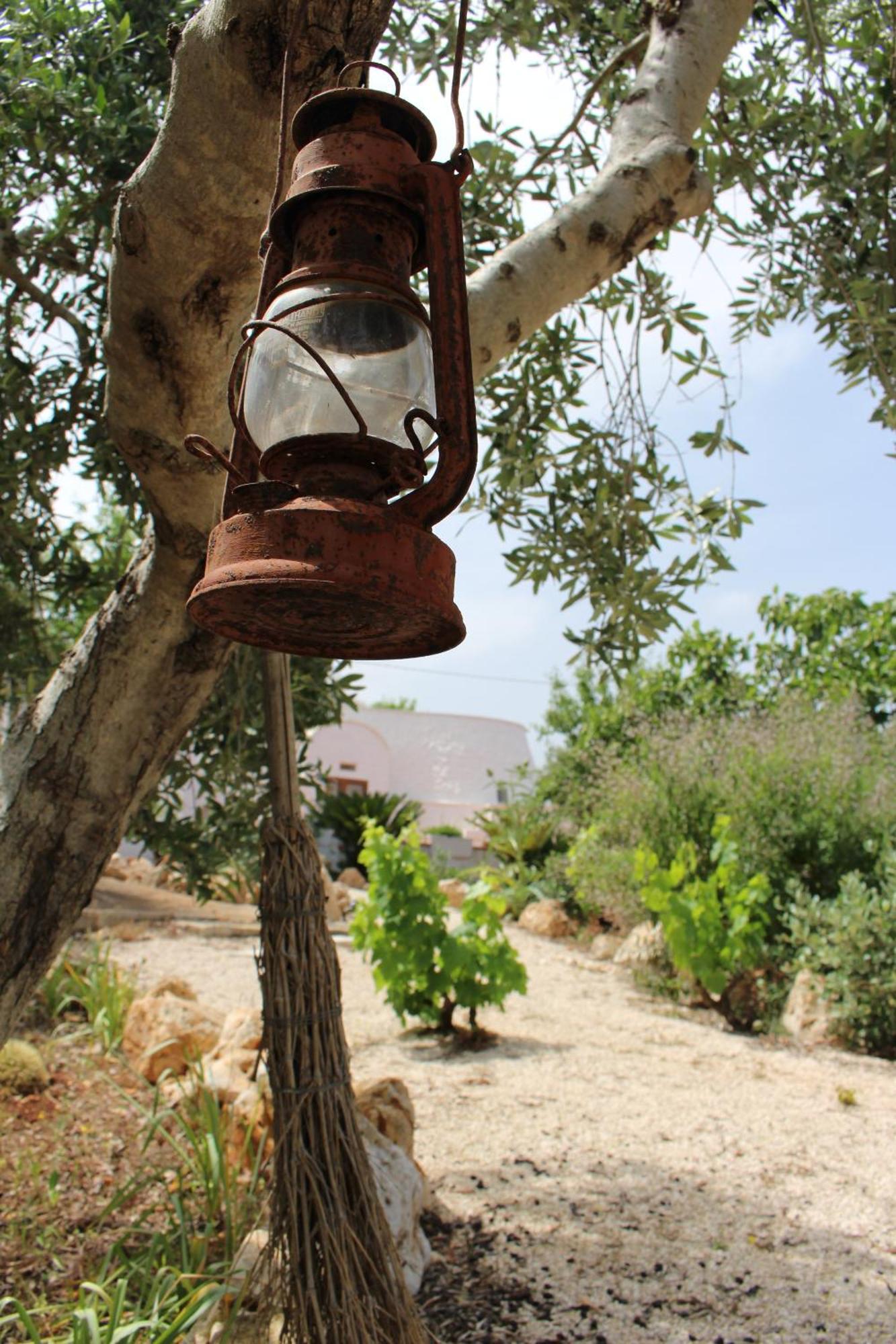 منزل الضيف أوستوني  في Trullo Il Melograno المظهر الخارجي الصورة