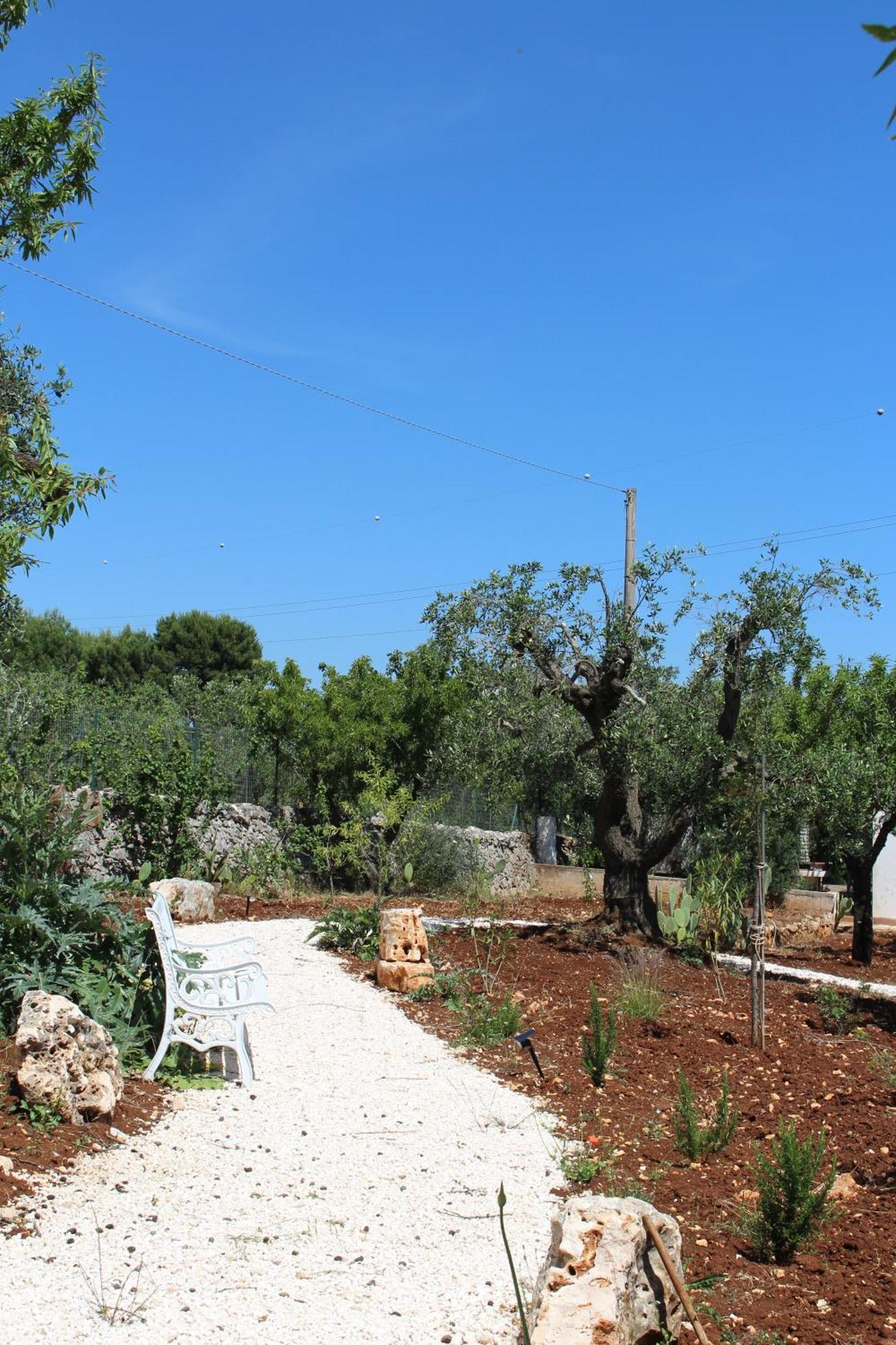 منزل الضيف أوستوني  في Trullo Il Melograno المظهر الخارجي الصورة