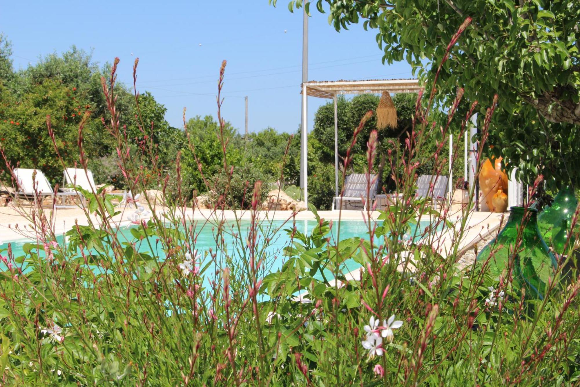 منزل الضيف أوستوني  في Trullo Il Melograno المظهر الخارجي الصورة
