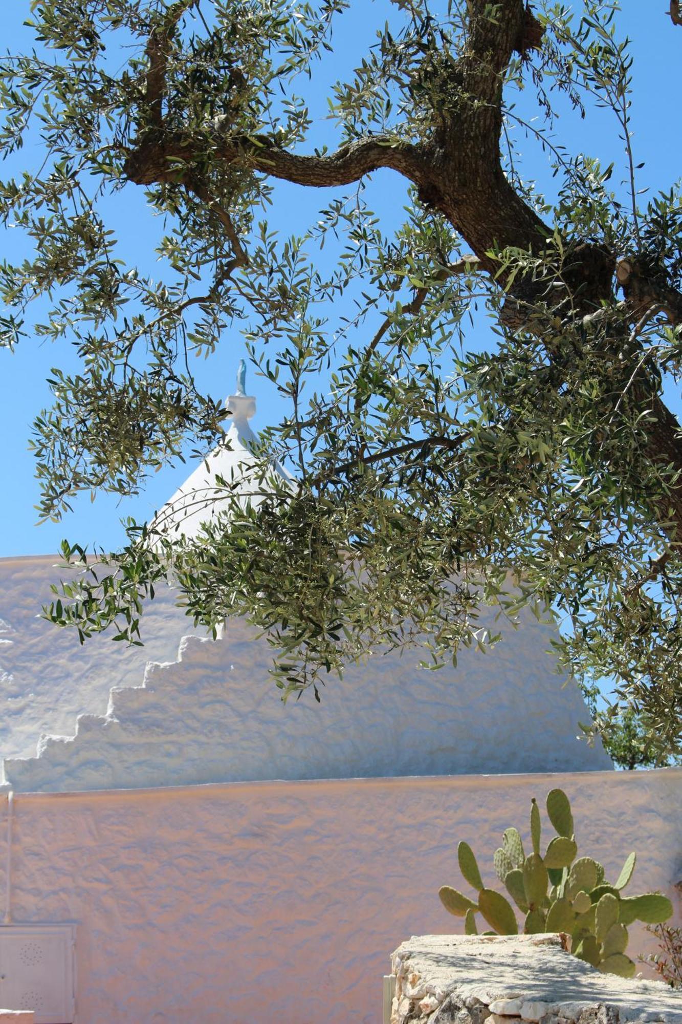 منزل الضيف أوستوني  في Trullo Il Melograno المظهر الخارجي الصورة
